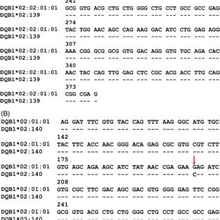 A The Alignment Of Nucleotide Sequence Of Exon 2 Of HLADQB1 02 139