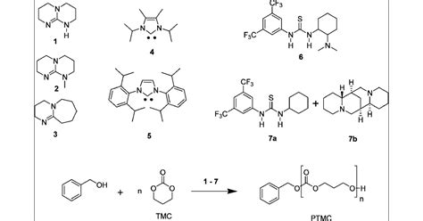 Organocatalytic Ring Opening Polymerization Of Trimethylene Carbonate