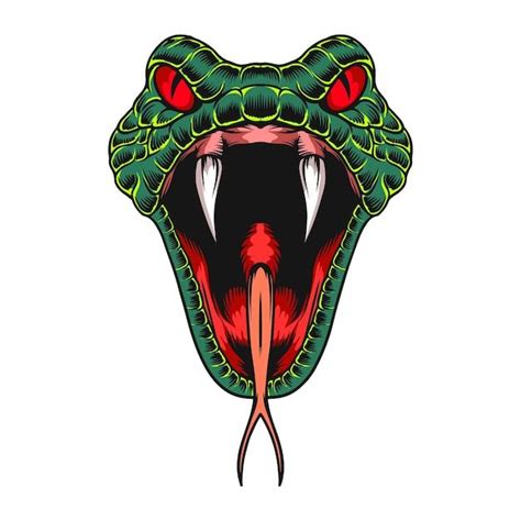 Premium Vector Illustration Artwork Of Angry Venomous Snakes In 2024