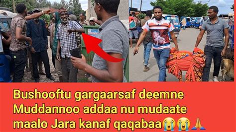 Yeroo Qabaa Magalaa Bushooftu Gargaarsaf Daame Muddaannoo Adda Nu