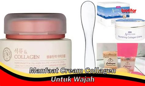 Temukan Manfaat Ms Glow Acne Night Cream Yang Jarang Diketahui Biotifor