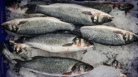 Do U Karadeniz In Su R Nleri Ihracat Geliri Artt