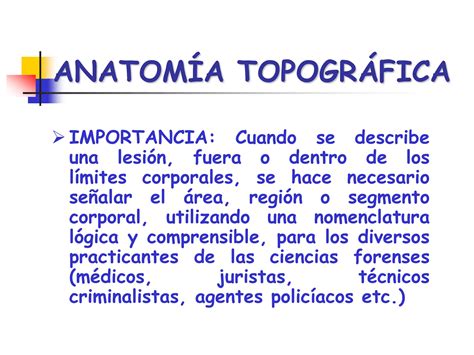 Anatomia Topografica Forense Vertiales Frontales PPT