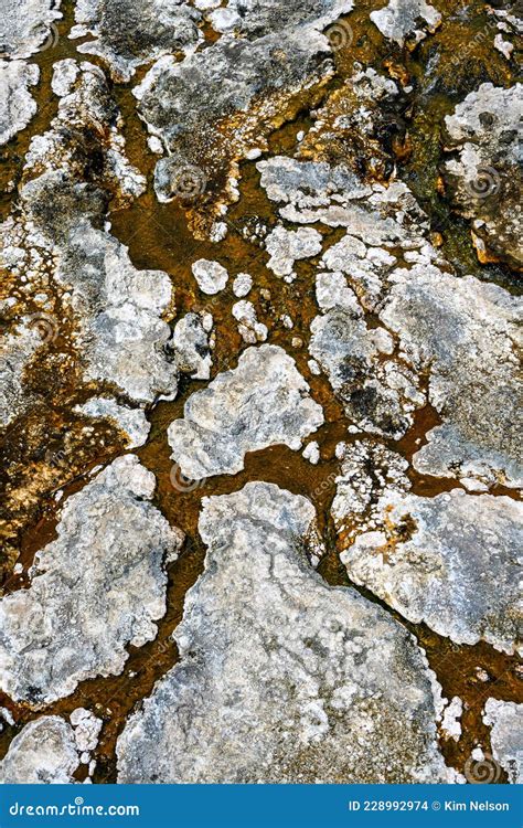 Bright Orange Thermophiles Microorganisms In Black Warrior Lake