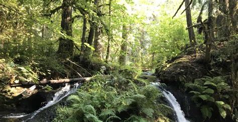 Discover the best campgrounds near Estacada, Oregon with swimming