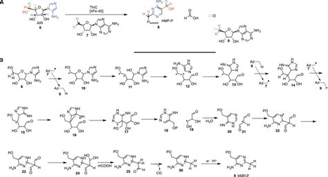 Radical Sam Enzymology In Thiamin Pyrimidine Biosynthesis A Results