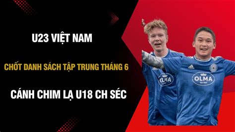 Cầu thủ Việt Kiều U18 CH Séc được HLV Philippe Troussier triệu tập