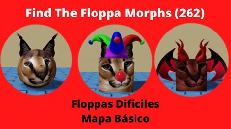 Como Conseguir Los Floppas De Mapa B Sico Dif Ciles Find The Floppa