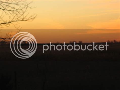 South Dakota Pheasant Hunt Upland Game Hunting Pheasants Quail