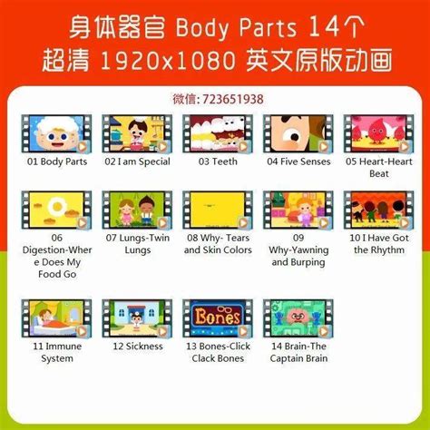 汇总 P24 身体器官《body Parts》14个英文动画视频（全部免费看） And Brain The 系列