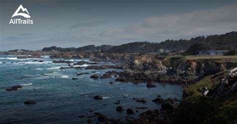 Best hikes and trails in Mendocino Botanical Gardens | AllTrails