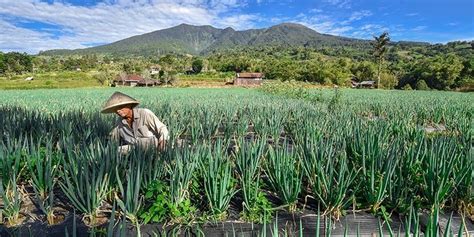 Roundtable Discussion Series On Sustainable Food And Agriculture