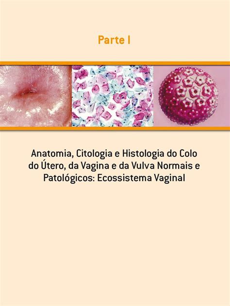 Livro Colposcopia E Patologias Do Trato Genital Inferior Livros De