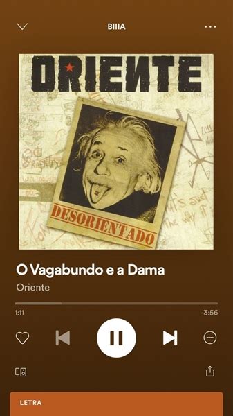 História A Dama e o Vagabundo História escrita por 031 mandz