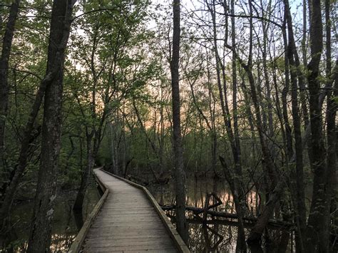 8 outdoor activities to try on the Chattahoochee River