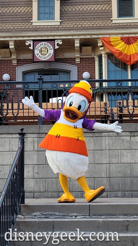 Pictures: Donald Duck in his Halloween Costume at Disneyland - The Geek's Blog @ disneygeek.com