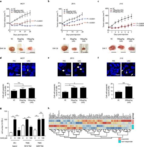 Figures And Data In Three Dimensional Growth Of Breast Cancer Cells