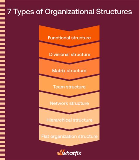 7 Types Of Organizational Structures Examples Key Elements Whatfix