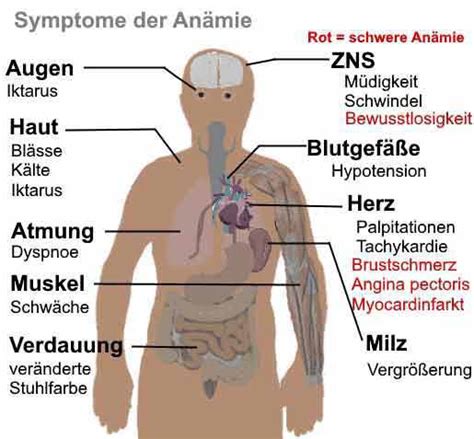 Vitamin B12 Mangel Therapie Nebenwirkungen