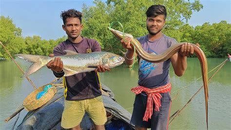 বিদ্যাধরী নদীতে বড়শি ফেলে প্রচুর দামি ও প্রচুর বড় তেড়ো মাছ ও বোগো মাছ পেলাম Sundarban