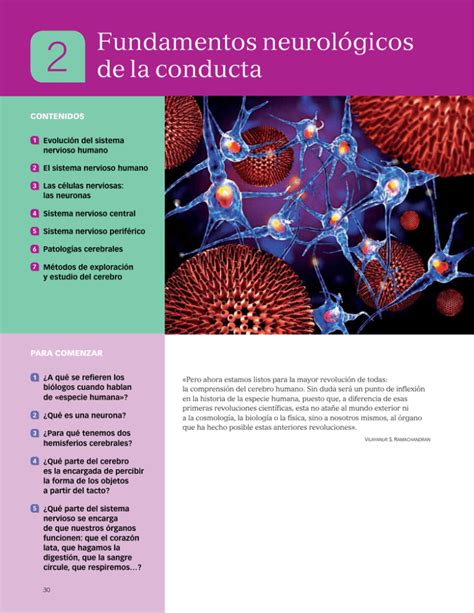 Fundamentos neurológicos de la conducta