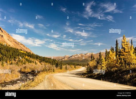 Denali Park Road High Resolution Stock Photography And Images Alamy