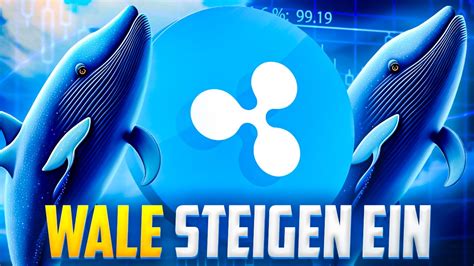 Ripple Kurs Prognose Bullishe Signale Wale Steigen Ein XRP20