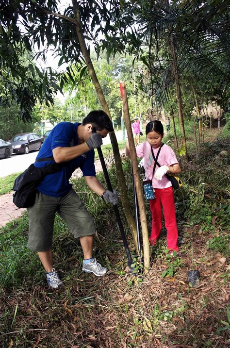 GE Staff Plant 300 Trees At KDCF A COMMUNITY WITH A FOREST AT ITS HEART