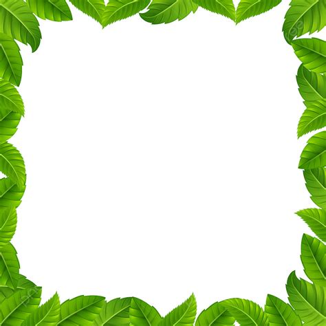 Tropical Leaf Green Frame Tropical Green Plant PNG Transparent