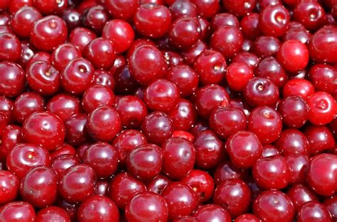 Bob Evans Cranberry Relish Recipe