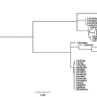 The tree was constructed based on the individual loci sequences. The... | Download Scientific ...