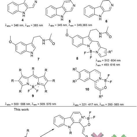 Biologically Active And Fluorescent Compounds Together With The Aims Of