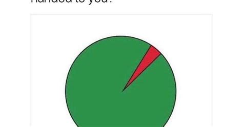 Totally My Pie Chart When I Was In College Seriously A Miracle That I Have A Degree Album On