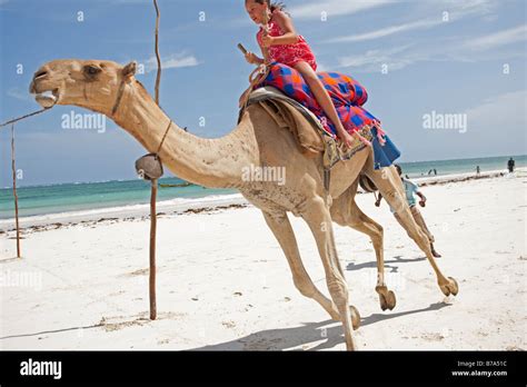 Kenya Mombasa Africa Diani Beach Hi Res Stock Photography And Images