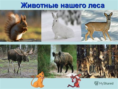 Презентация на тему: "Жизнь леса Проект Кобелева Егора ученика 2 А ...