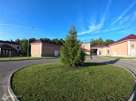 Продажа и посадка крупномеров в Пензе