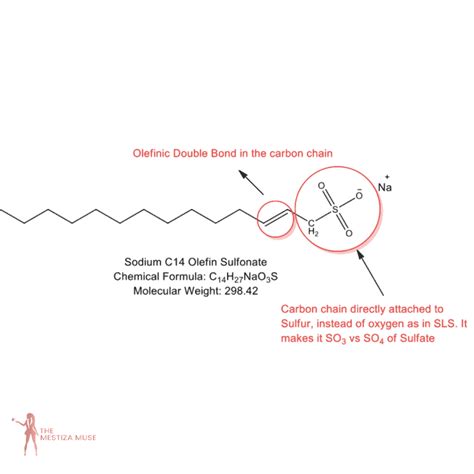 Sodium C14 16 Olefin Sulfonate Simplified The Mestiza Muse