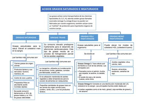 Tipos De Nutrientes Mind Map