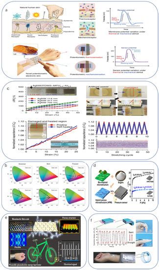 Biomimetics Free Full Text Biomimetic Flexible Sensors And Their