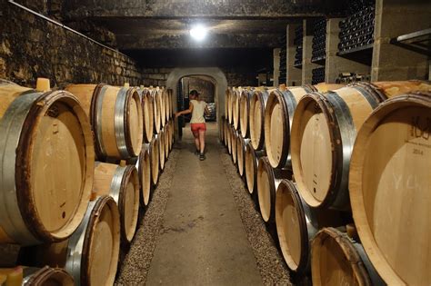 schiller wine Domaine Armelle et Bernard Rion in Vosne Romanée Wine