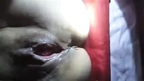 Free Good Old Pussy Porn Videos Xhamster