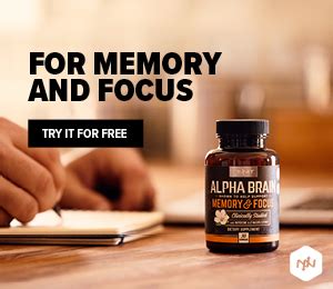 The Nootropics Review Top Best Nootropic Supplements Stacks