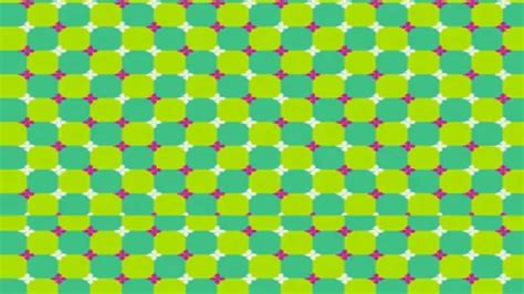 Optical Illusion Is The Photo Static Or Unstable Are Your Eyes Also