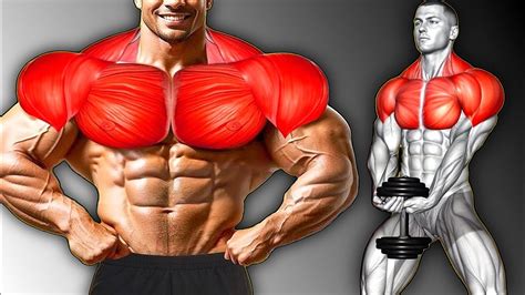 Fastest Effective Exercises For Chest And Shoulders Youtube