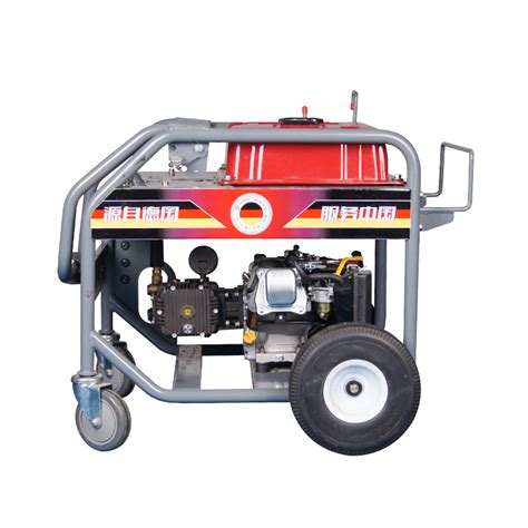 Gasoline Portable Home Gas Car Wash High Pressure Washer Car Washing