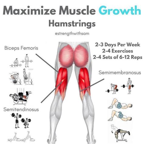 Hamstrings Workout Improve Hamstring Strength And Definition Entraînement