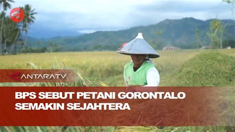 BPS Sebut Petani Gorontalo Semakin Sejahtera YouTube