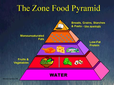 Primal Food Pyramid Age Of Taste Holistic Tawhidi Cuisine