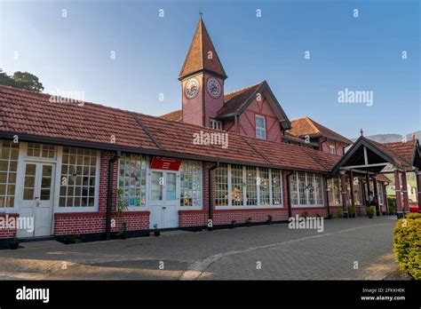 Nuwara Eliya tea fields of Sri Lanka Stock Photo - Alamy