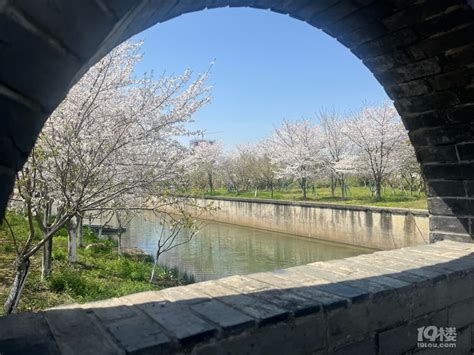 趁阳光正好，趁微风刚好 旅游拉风 嘉兴19楼